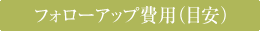 フォローアップ費用（目安）